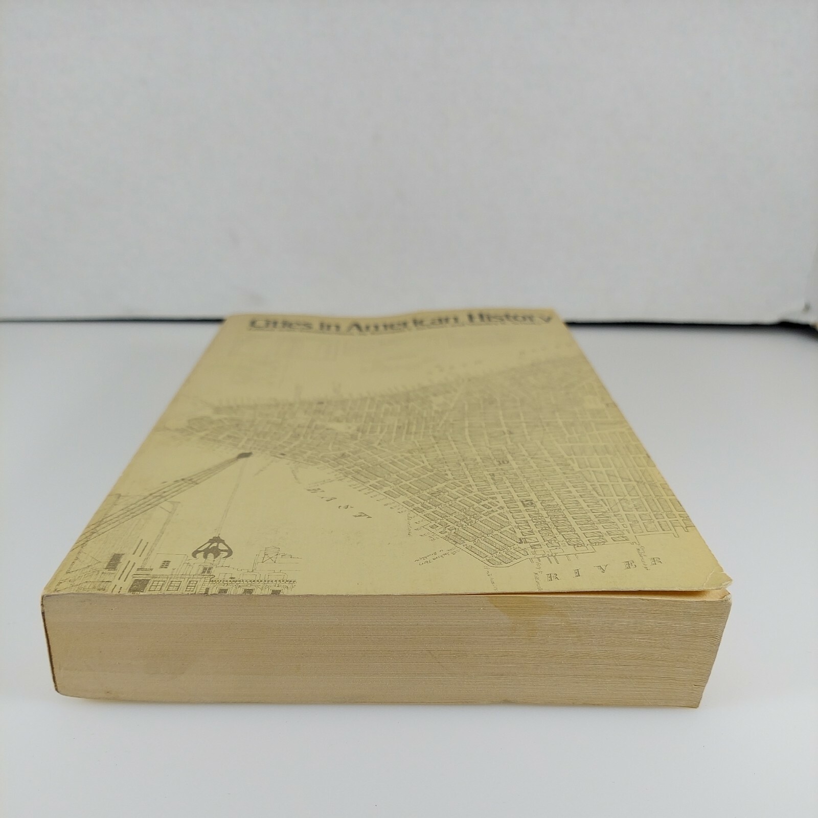 Cities in American History 1st Ed. Kenneth Jackson, Stanley Schultz PB 1972