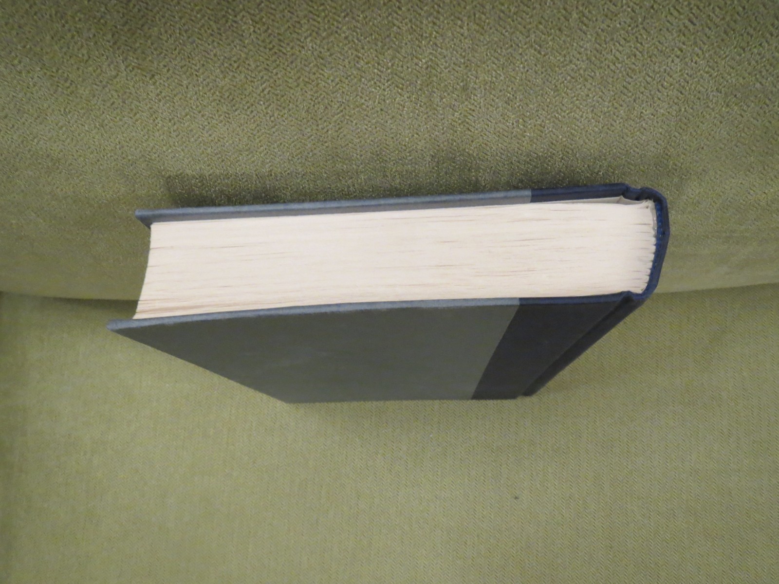 The Cardturner by Louis Sachar (Bridge), Hardcover, MISSING DUST JACKET