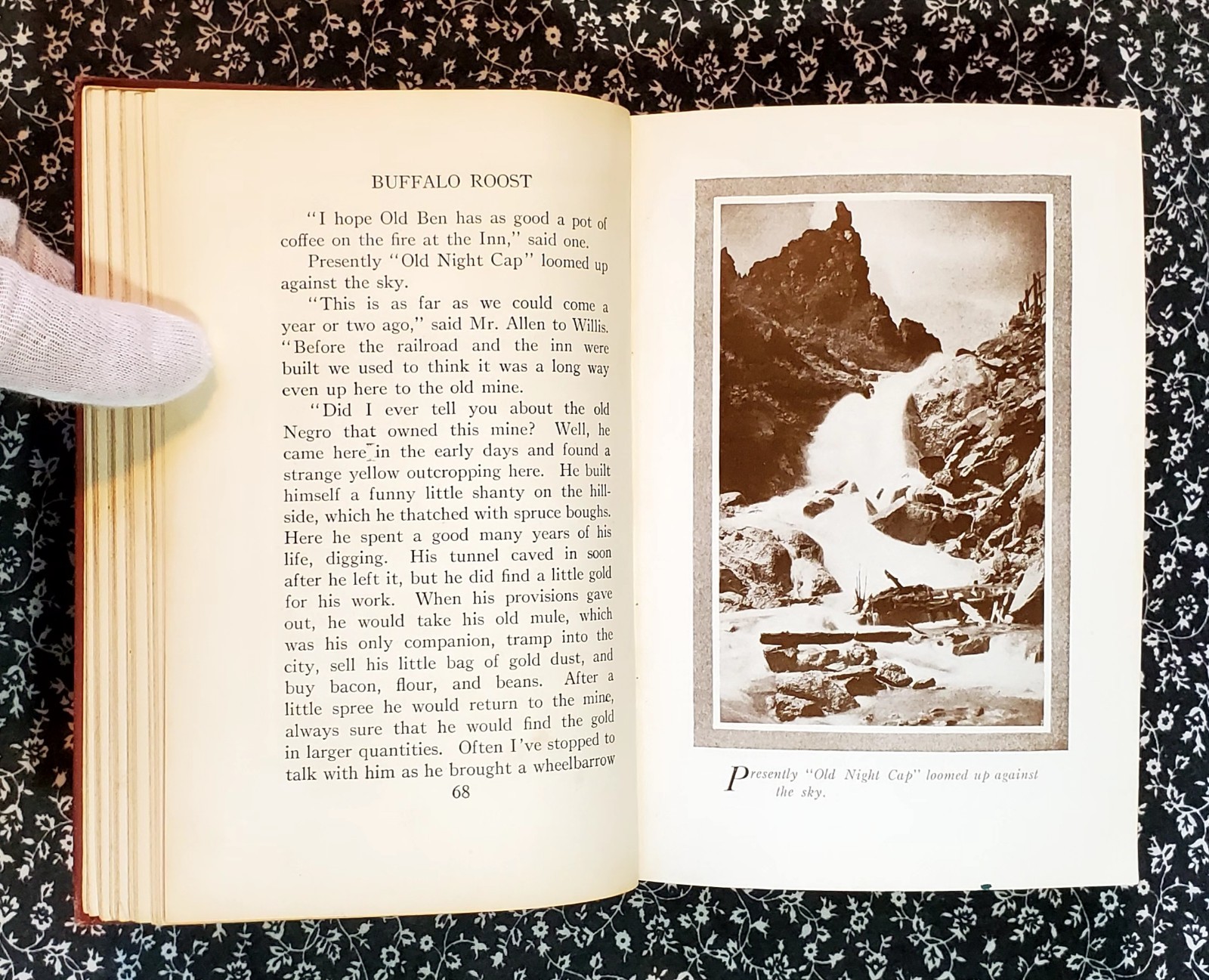 Buffalo Roost, F. H. Cheley, 1913, First Edition, Hardcover, Antique
