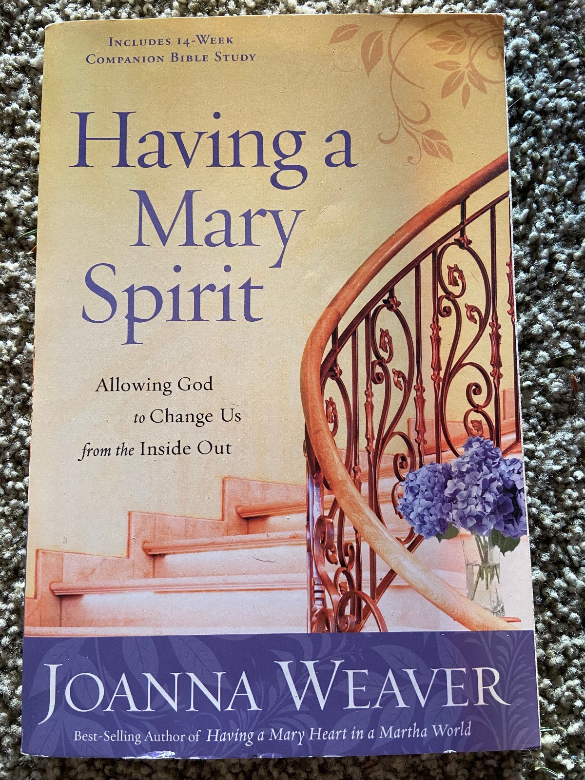 Having a Mary Spirit by Joanna Weaver (2016)– VERY GOOD CONDITION