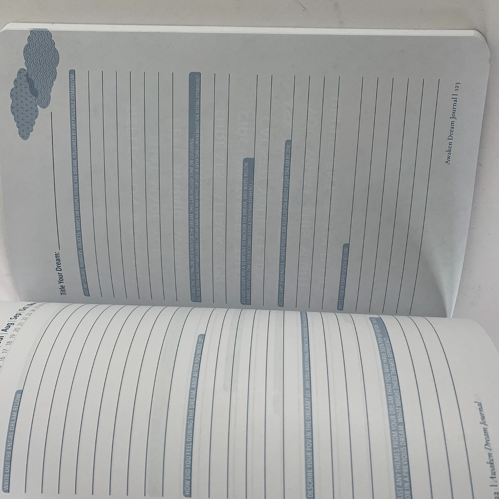 Awaken Dream Journal: Understanding God’s Voice in Your Dreams by Paige Collins
