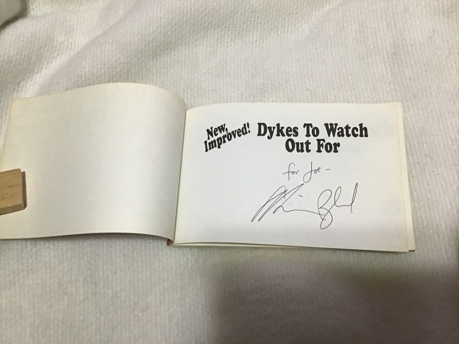 Whoa! Alison Bechdel lot of 12! Signed DTWOF Books! Titles in PIX & Description