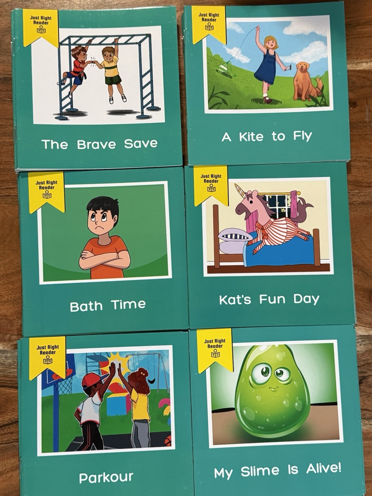 Just Right Reader 1st Grade Class Pack Set 12 of 19 /36 individual books