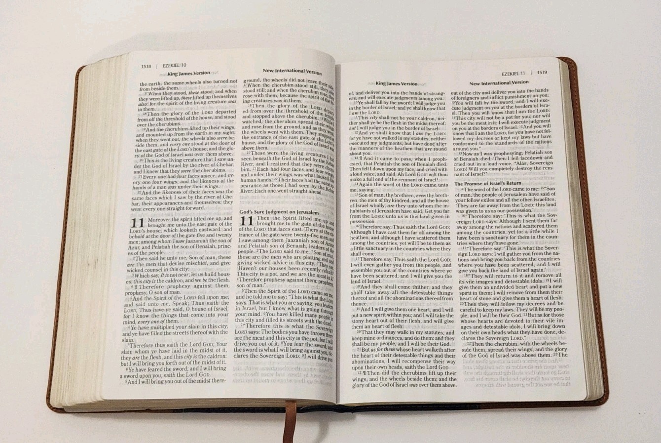 NIV, KJV, Parallel Bible, Large Print, Leathersoft, Navy/Tan.