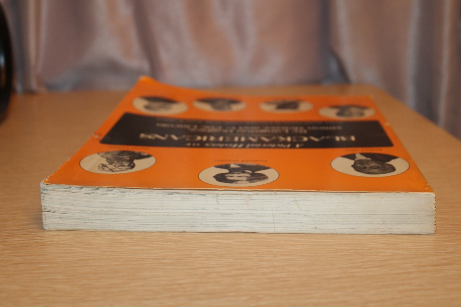 A Pictorial History of Blackamericans by Langston Hughes, Milton Meltzer 1973