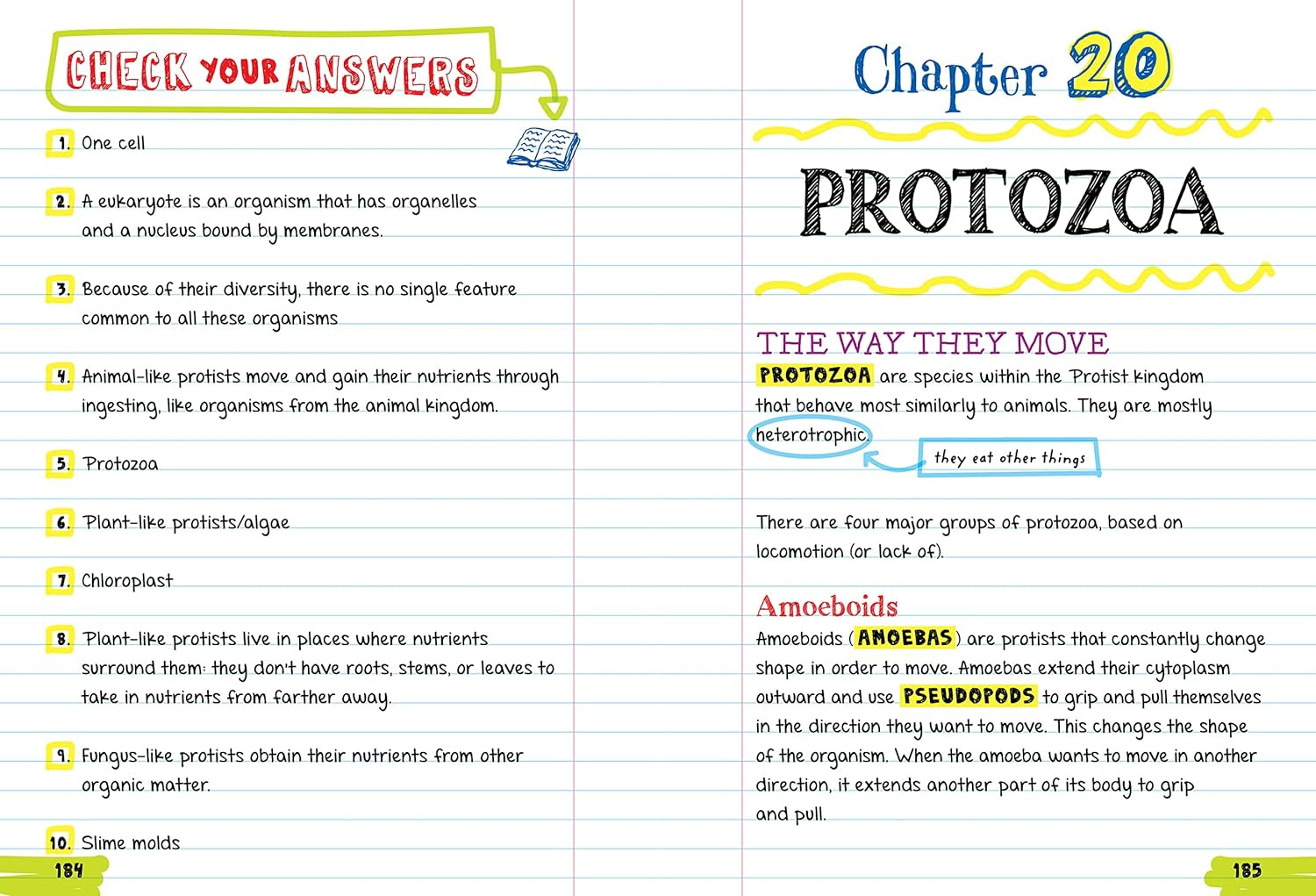 Everything You Need to Ace Biology in One Big Fat Notebook