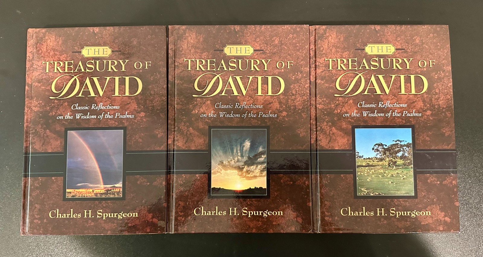 The Treasury of David: Classic Reflections on the Wisdom of the Psalms 3 Volumes