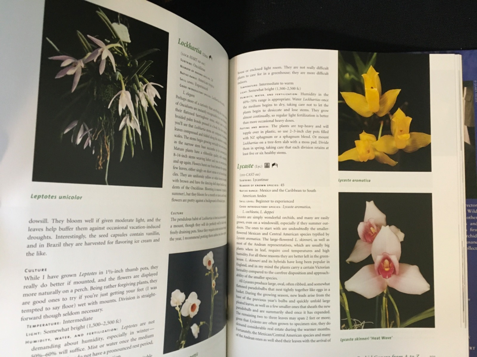 Lot UNDERSTANDING ORCHIDS Guide to Growing Exotic Flowers Plants CULLINA + LORE