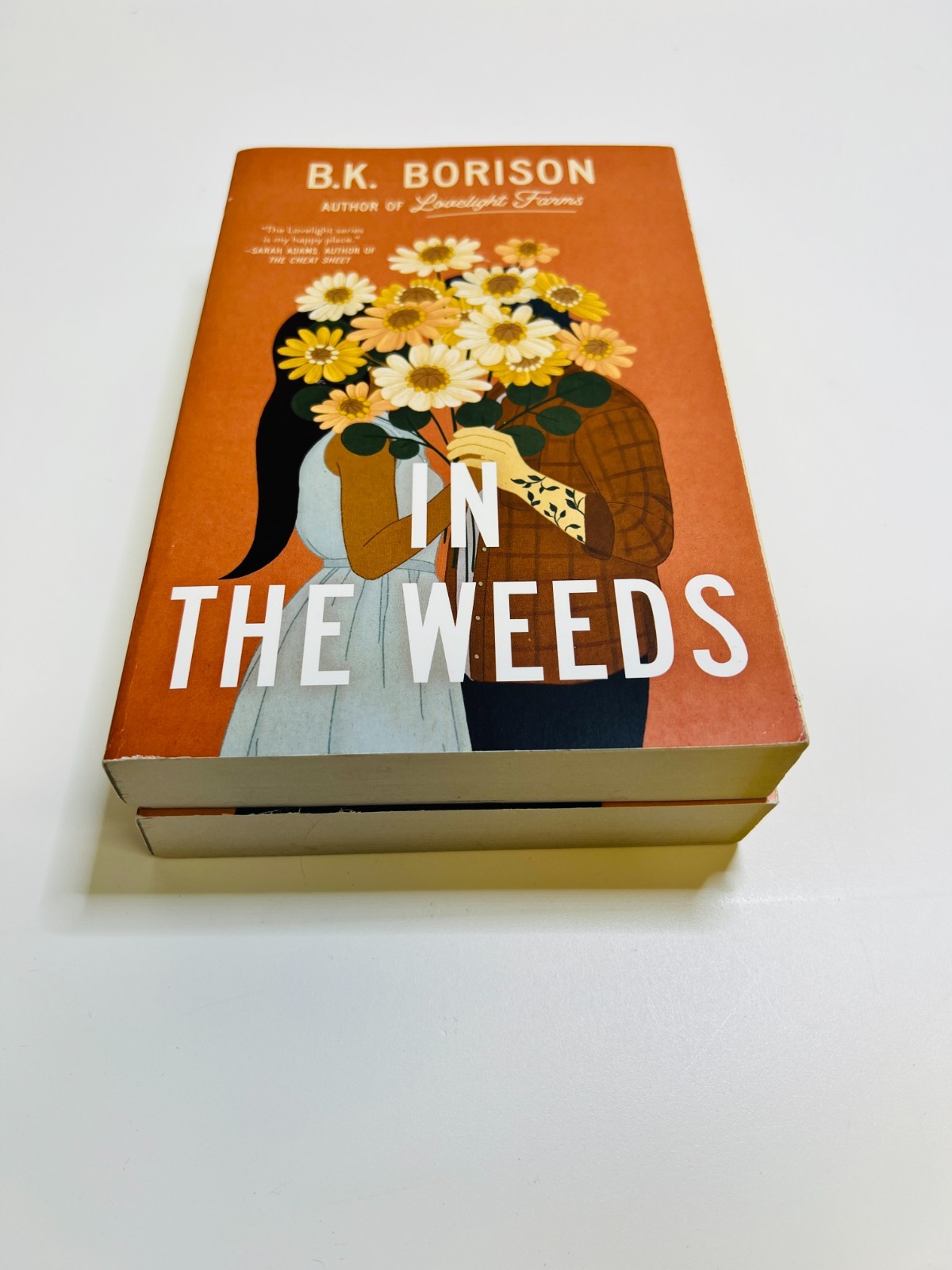 B. K. Borison Lot x 2 In the Weeds & Mixed Signals Paperbacks