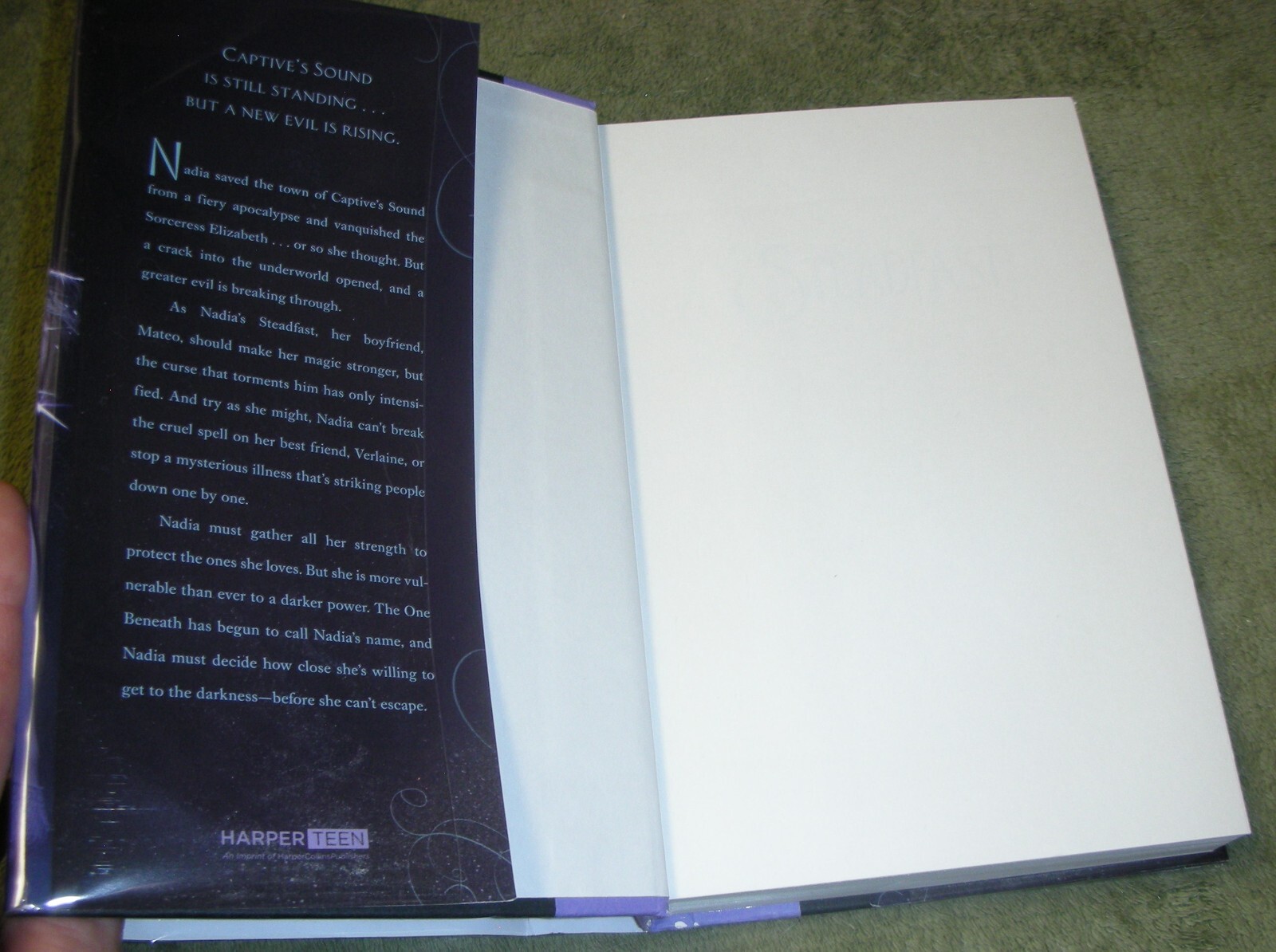 SIGNED ~ STEADFAST by Claudia Gray 2014 HC/DJ ~ 1st Edition 1st Print + Cover