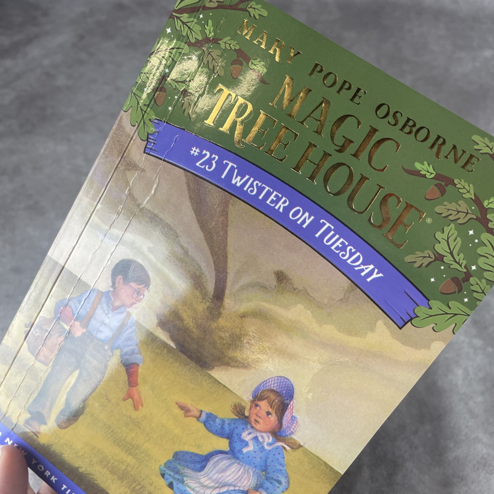 Magic Tree House 1–28 Box Set – Complete 28-Book Collection