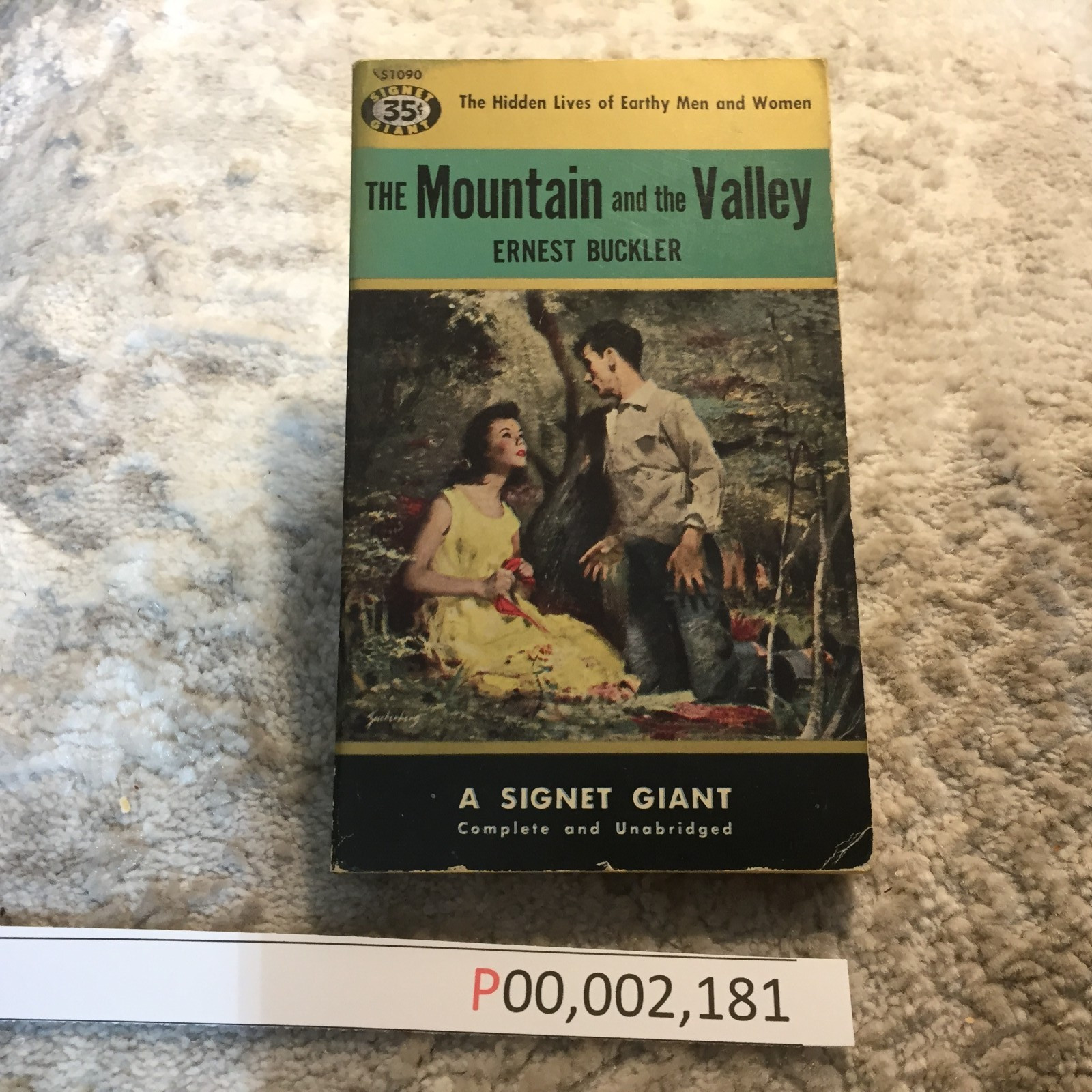The Mountain And The Valley Ernest Buckler 1954 Signet Giant Coming Of Age Book
