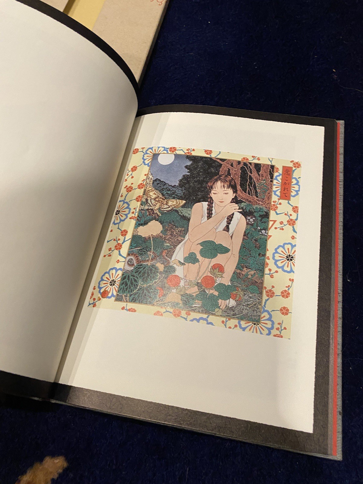 Takato Yamamoto SCARLET MANIERA Hardcover Japanese Art Book Slipcase Pan Exotica