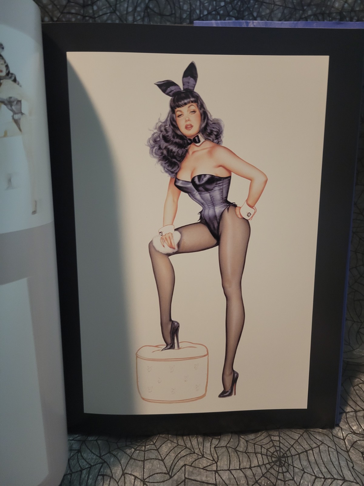Bettie Page by Olivia 2006 Hardcover Art Book 1st Ed. Print Olivia De Berardinis