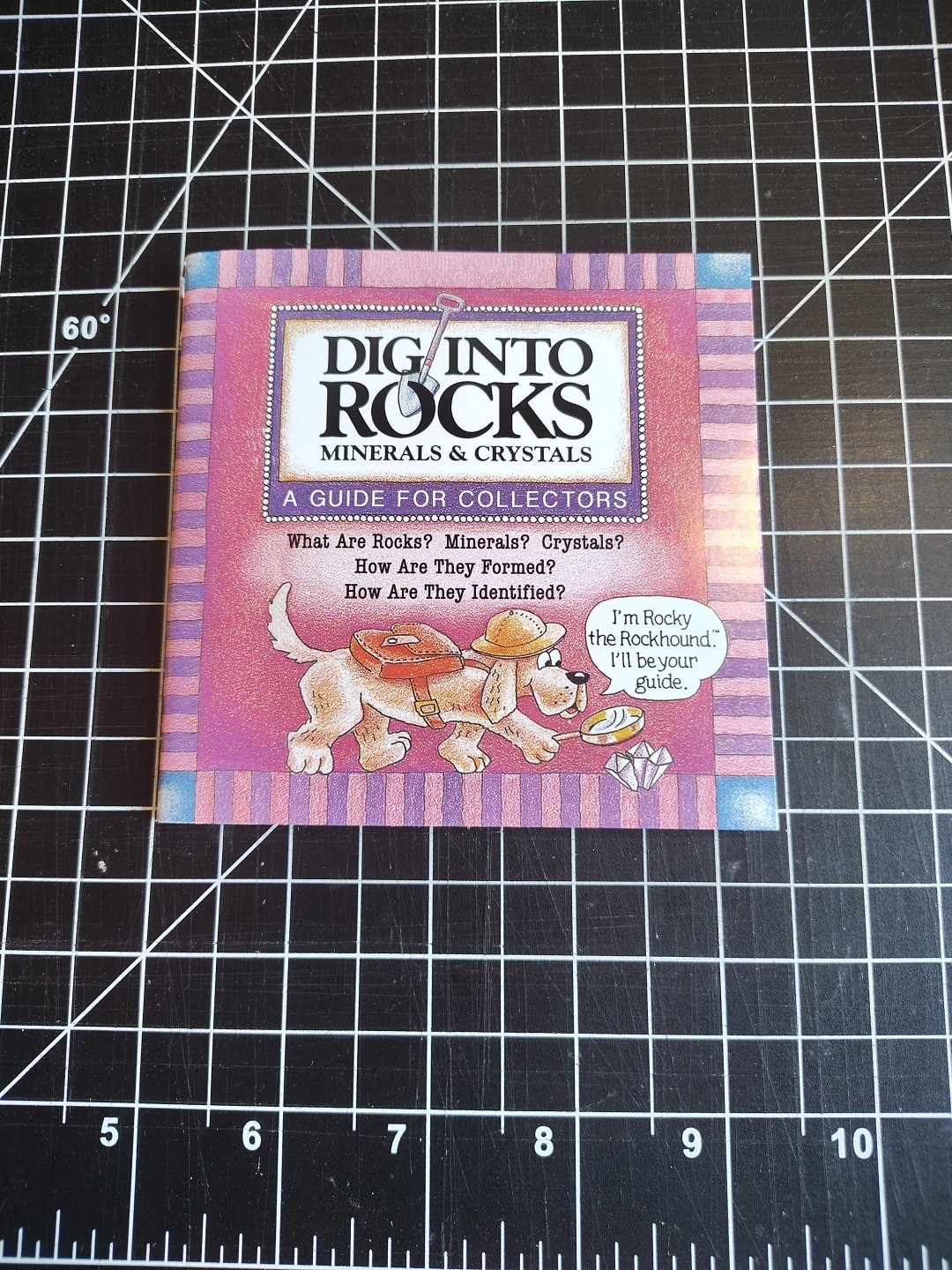 Dig into Rocks A Guide for Collectors 36 Pages Rocky the Rockhound is Your Guide
