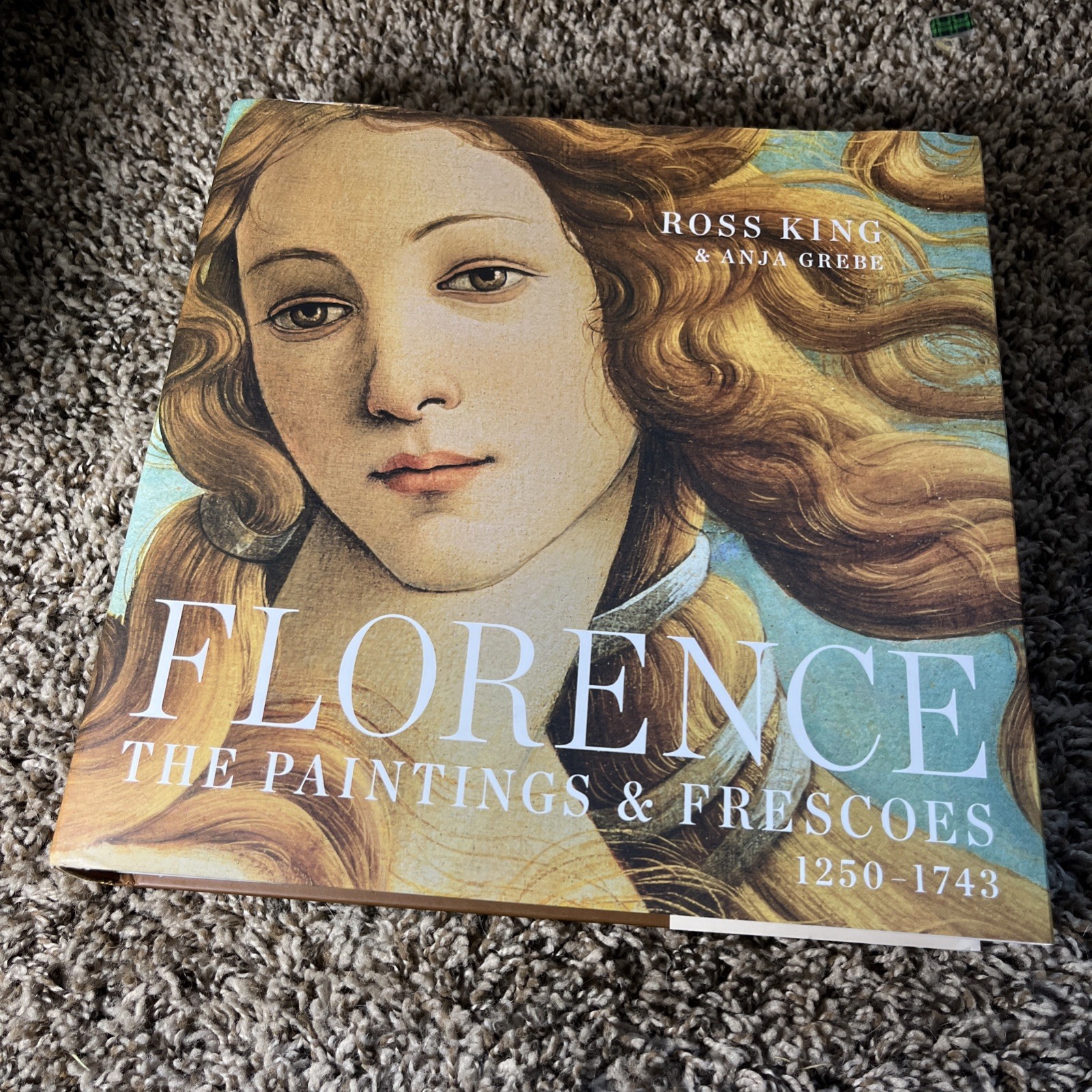 Florence The Paintings & Frescoes 1250-1743 Anja Grebe Ross King HC