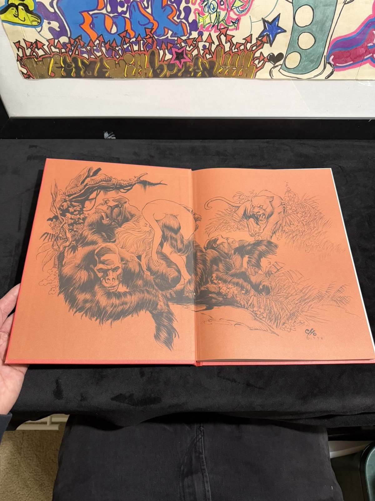 Frank Cho Illustrator, 2000, Hardcover, Regular Edition With Dust Jacket