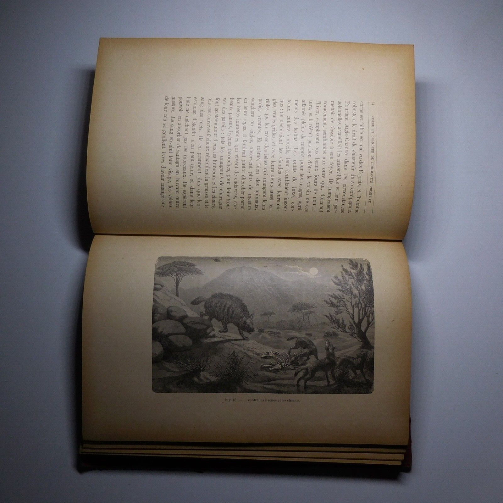 N25.4 Misery Size Humanity Primitive 1889 Illustrated Anthropology Mrs. Meunier