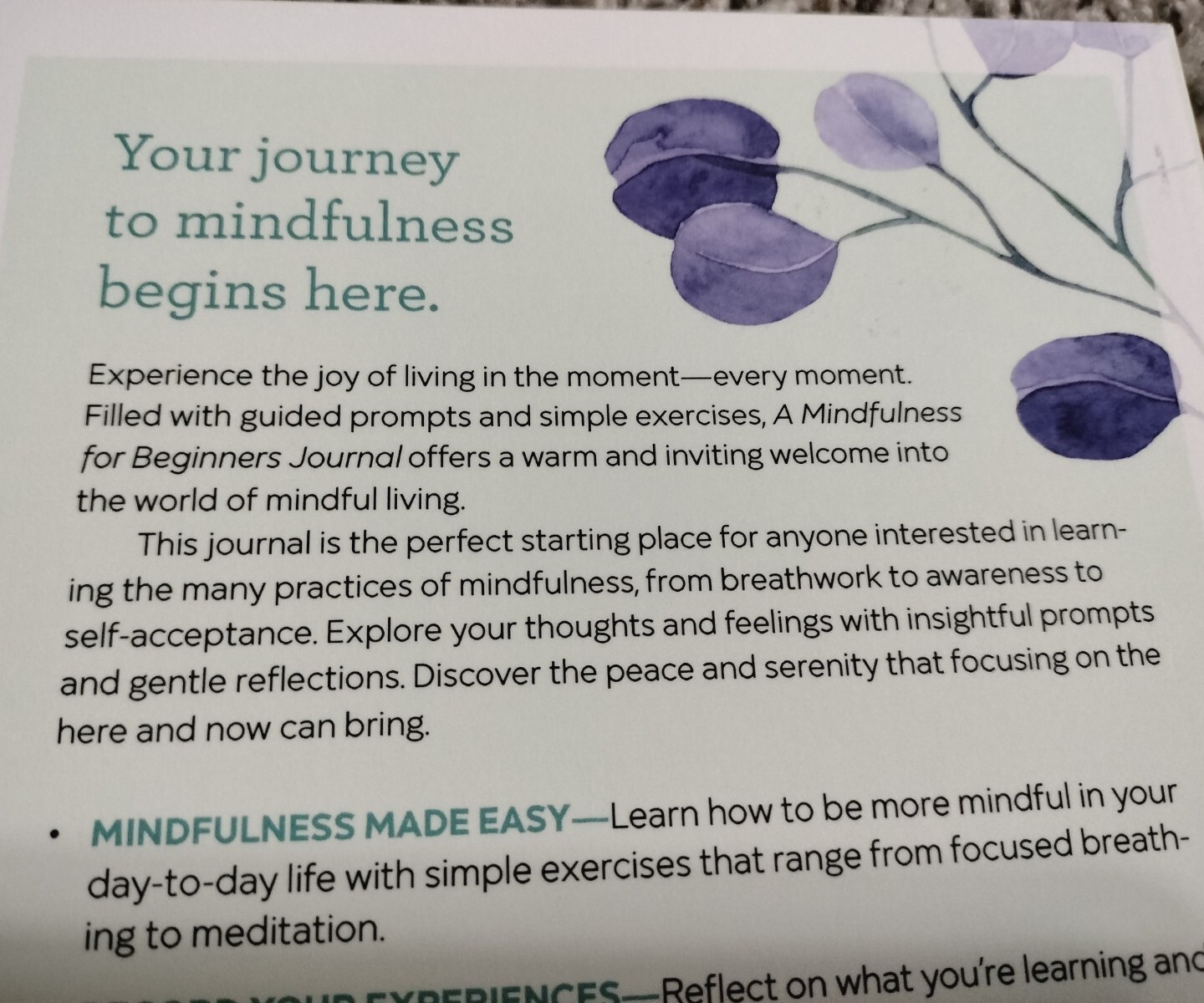 A Mindfulness for Beginners Journal: Prompts and Practices for Living In Moment