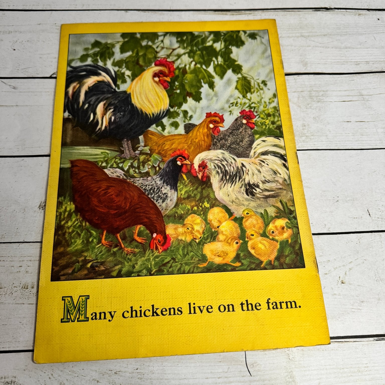 On the Farm Picture Book 1950 Whitman Publishing Vintage Children’s Farm Animals