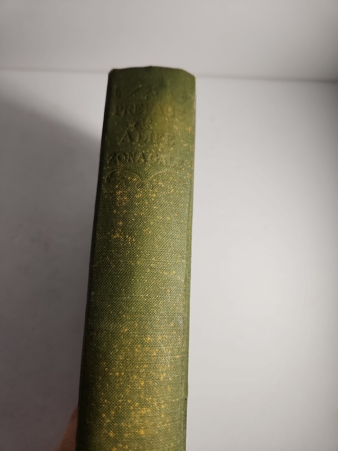 Preface to A Life by Zona Gale – 1926 D. Appleton Hardcover