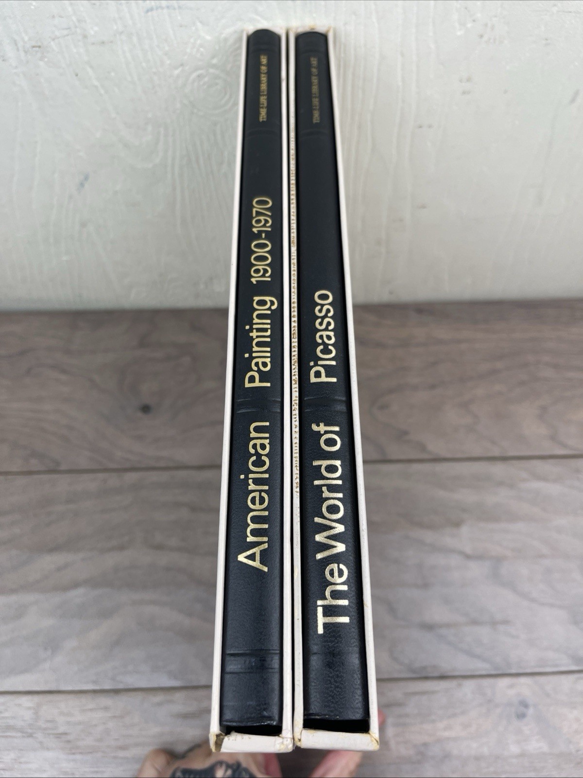 Time-Life Library of Art Lot Of 14 Volumes in Slipcases Picasso Rembrandt Manet