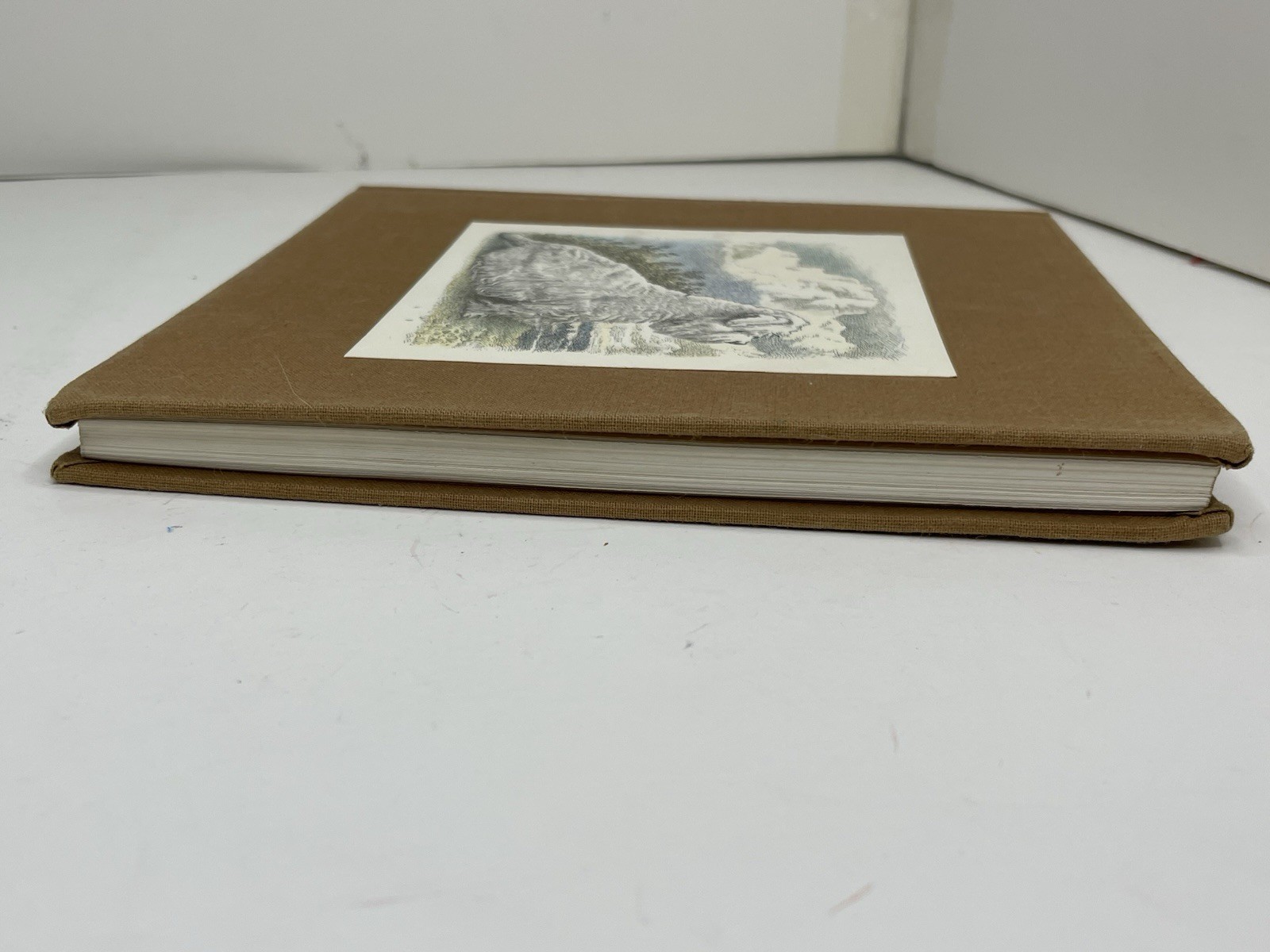 RARE Maurice Sendak 1st Ed Higglety Pigglety Pop! or There Must Be More to Life