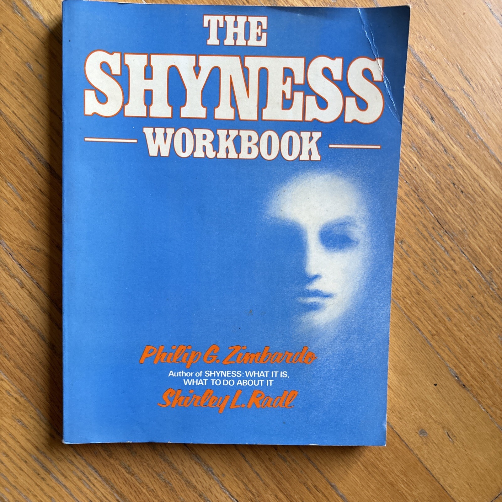 The Shyness Workbook