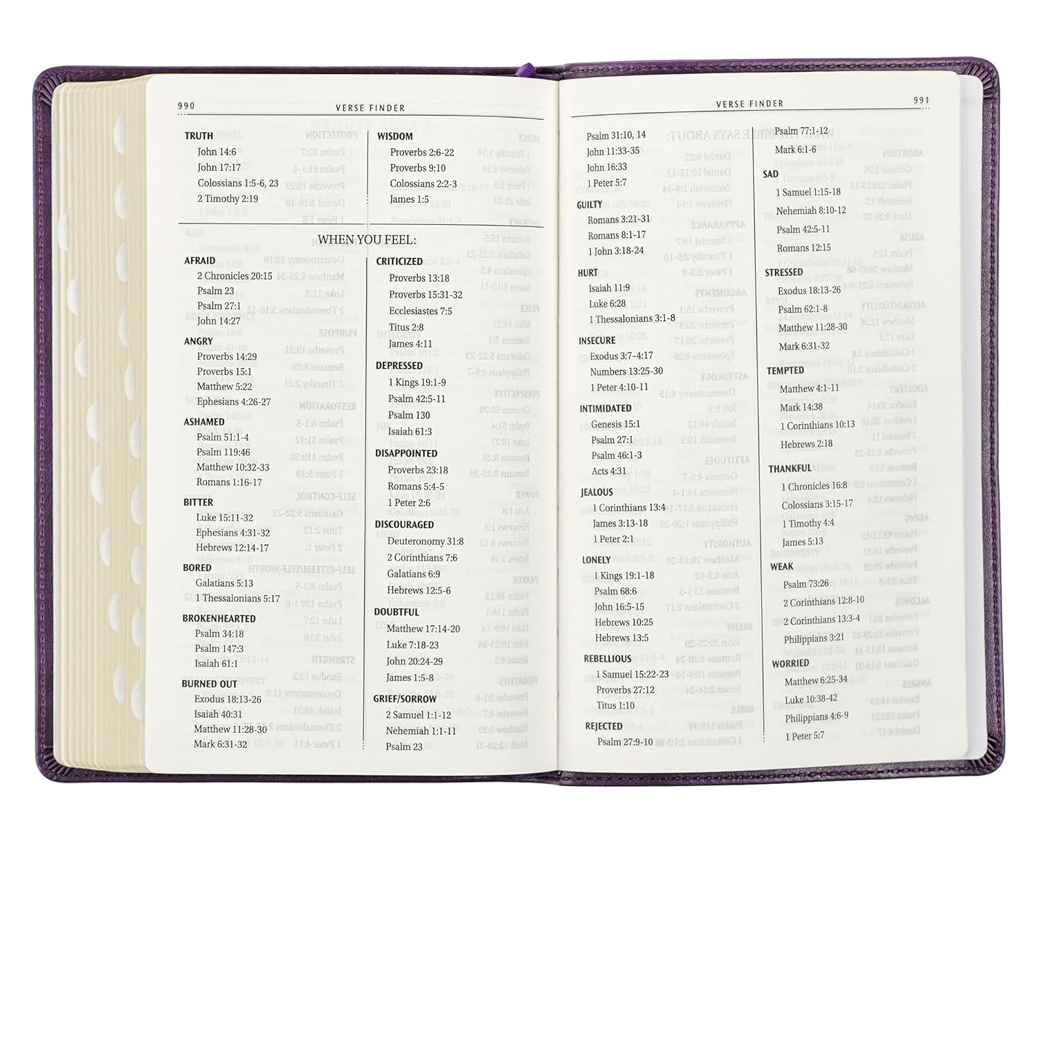 KJV Holy Bible, Standard Size Faux Leather Red Letter Edition Thumb Index & Ribb
