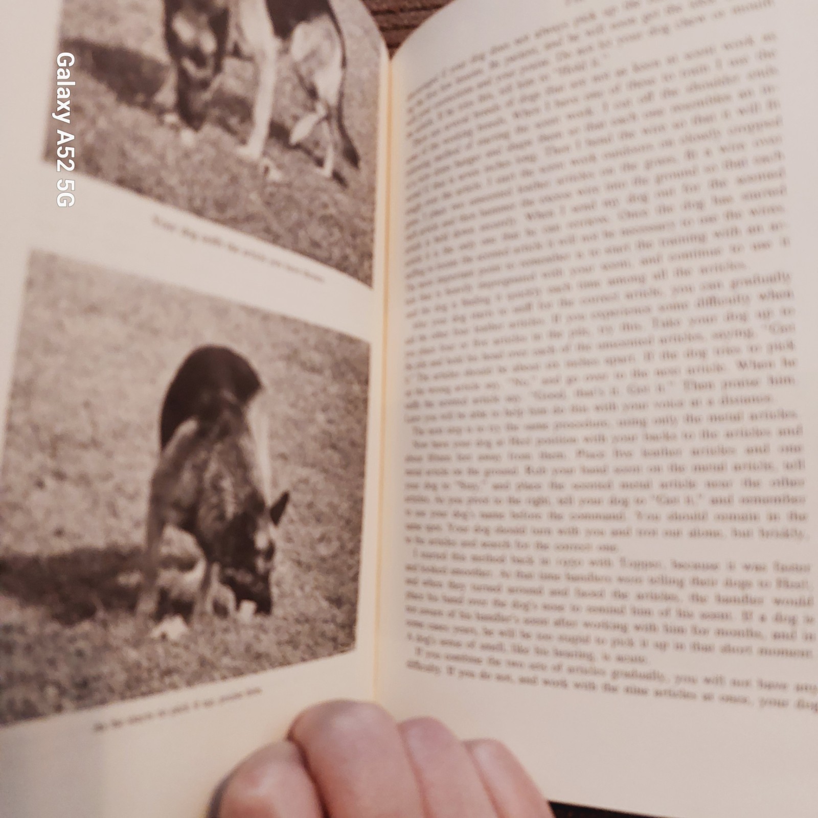 Winifred Gibson Strickland Expert Obedience Training for Dogs HC Rev Illus