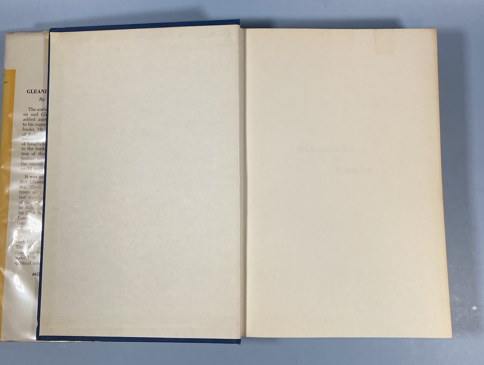 Vintage Gleanings In Joshua Arthur W Pink Moody Press 1965 Hardcover Christian