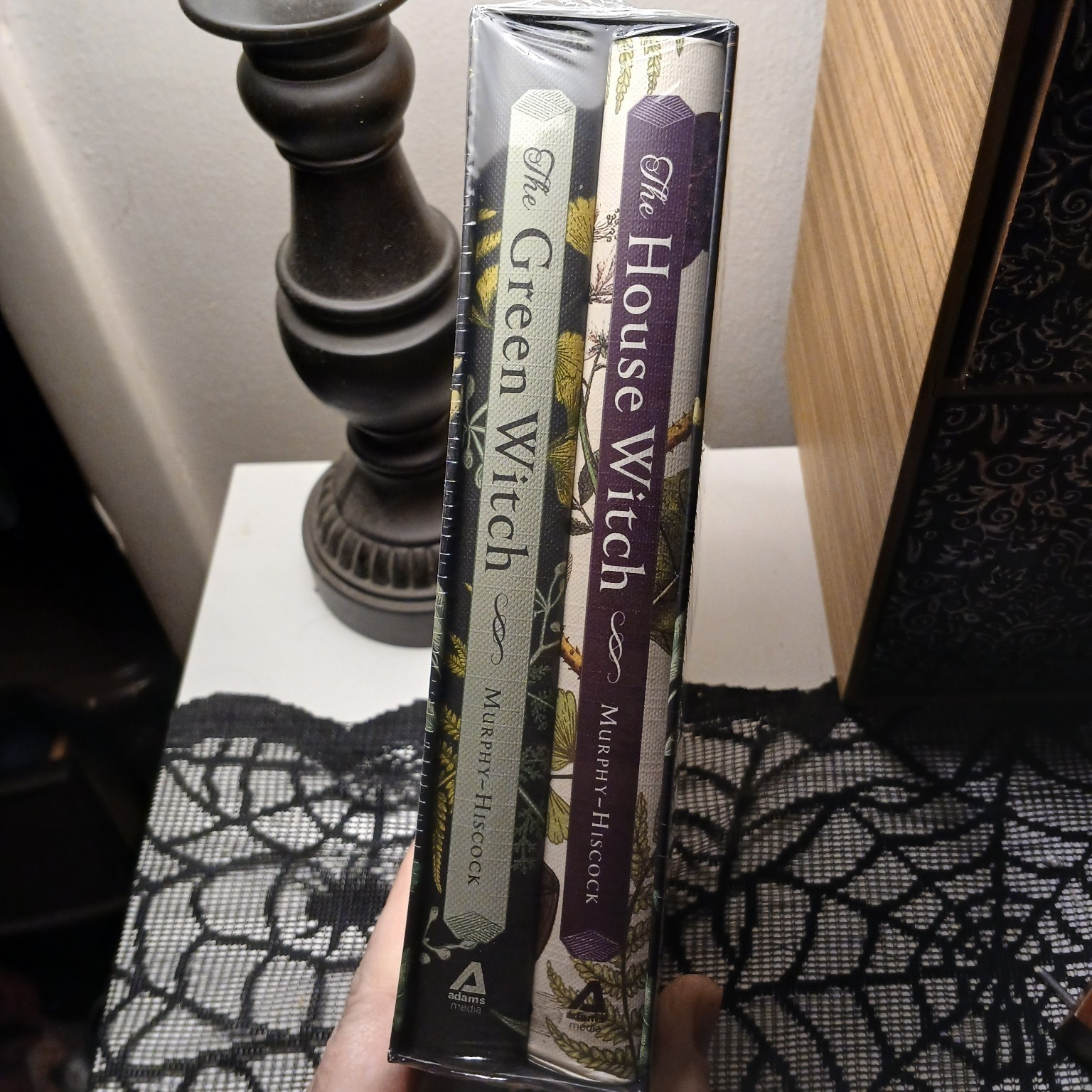 The Witchcraft Boxed Set: Featuring the Green Witch and the House Witch