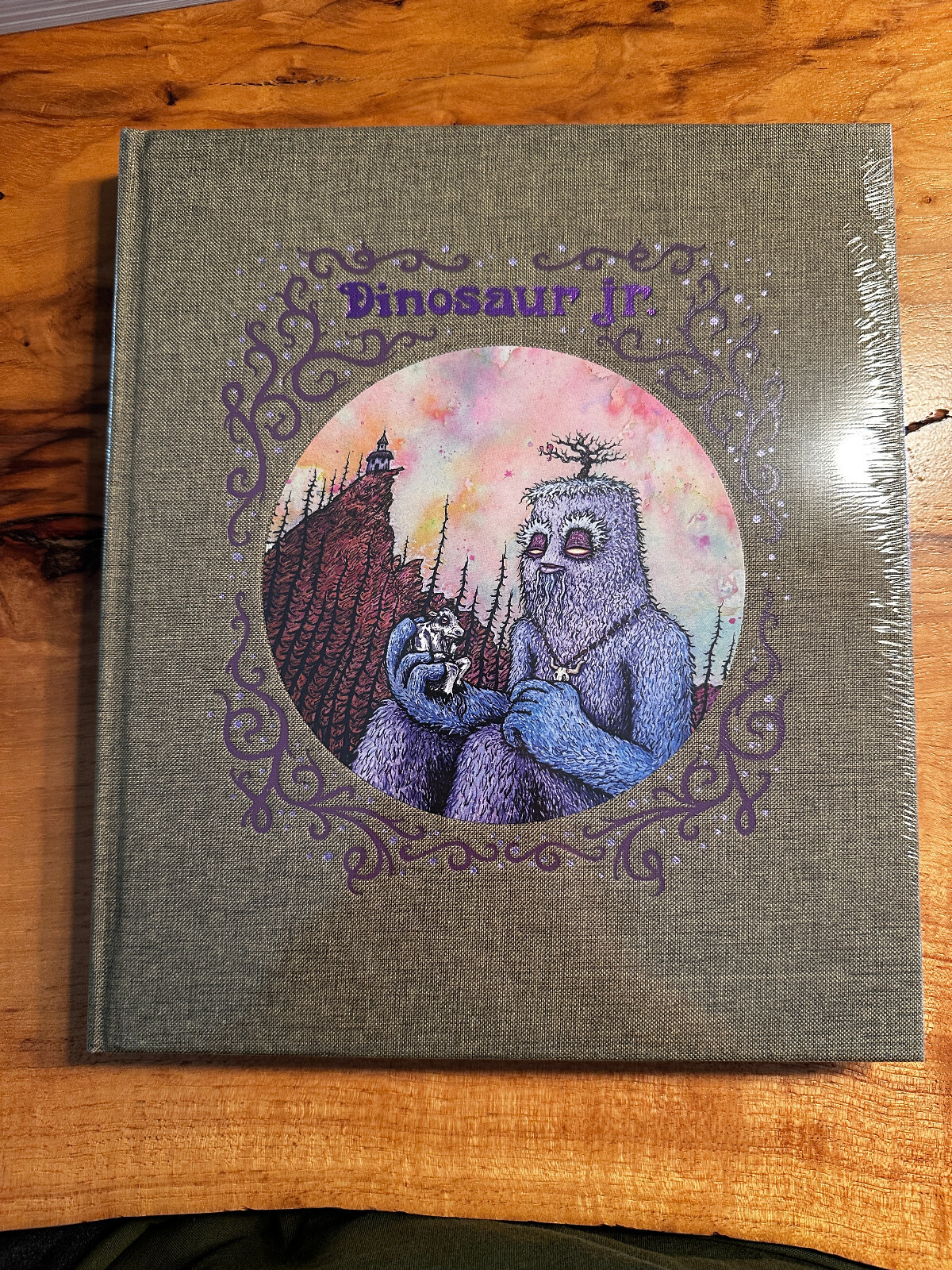Dinosaur Jr. Hardcover OUT OF PRINT and SEALED!!!!!