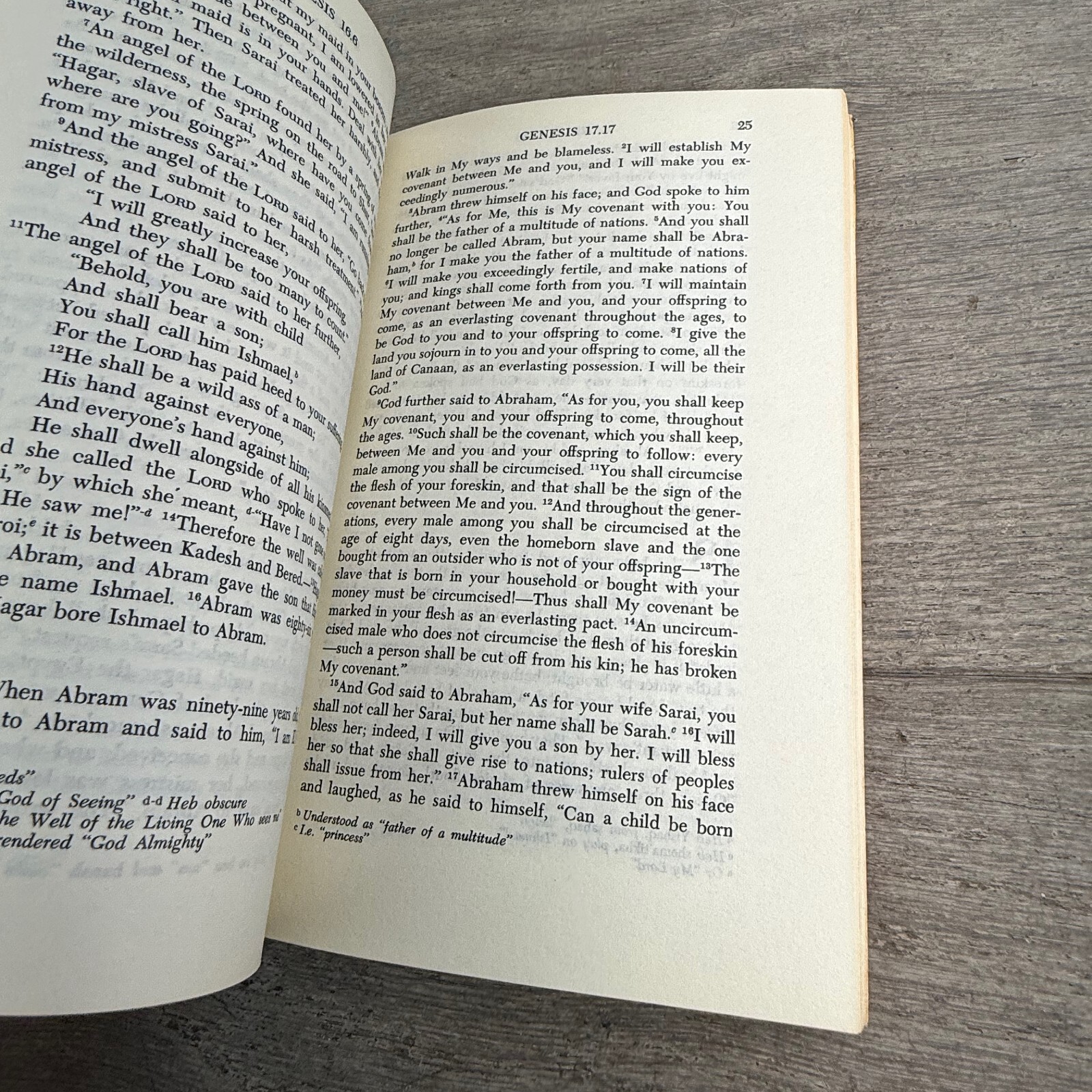 Genesis Tanakh NJPS Translation Jewish Bible Study Hardcover