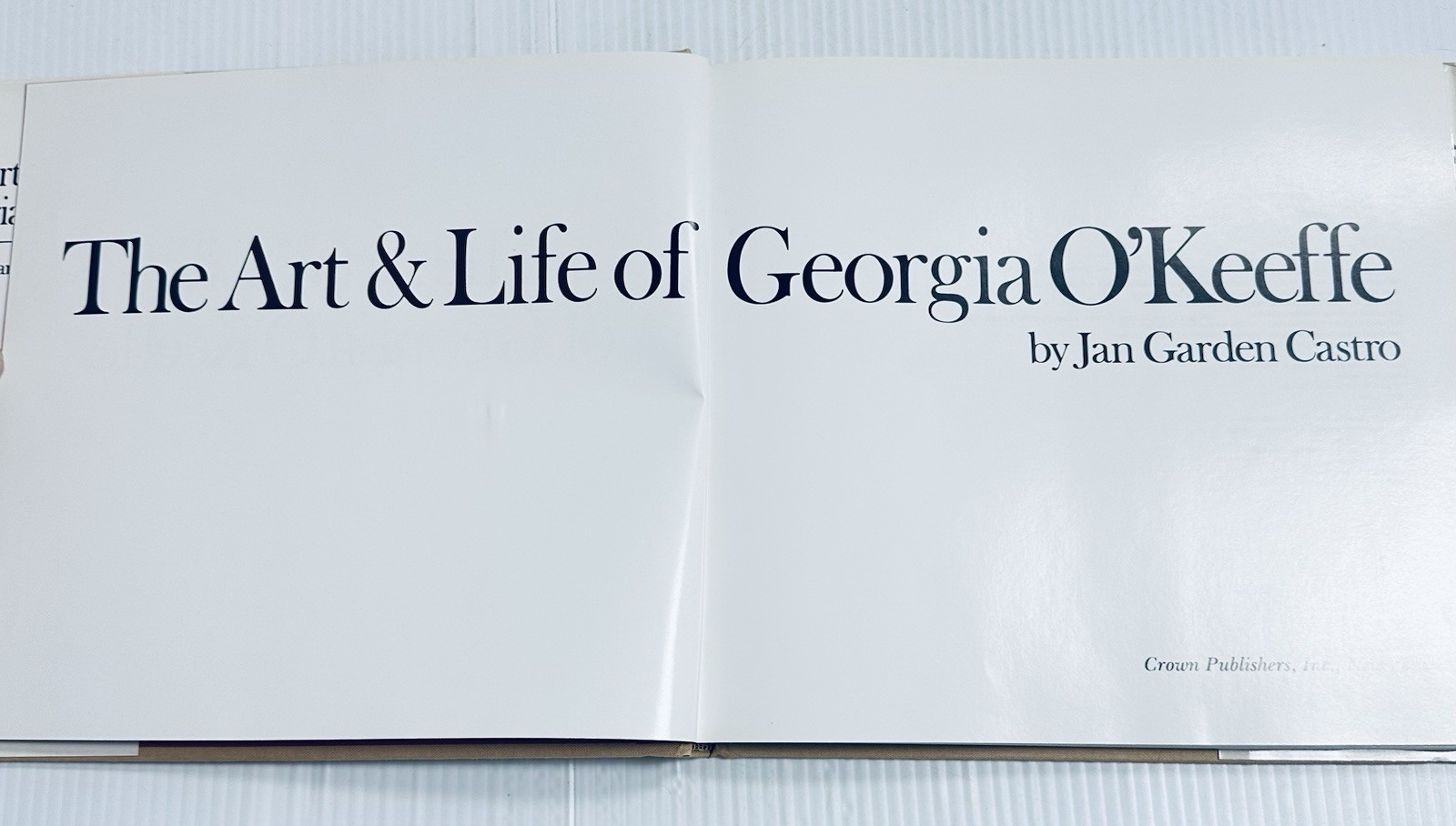 Georgia O Keeffe Art and Life Castro Book with 136 Color Illustrations Edition