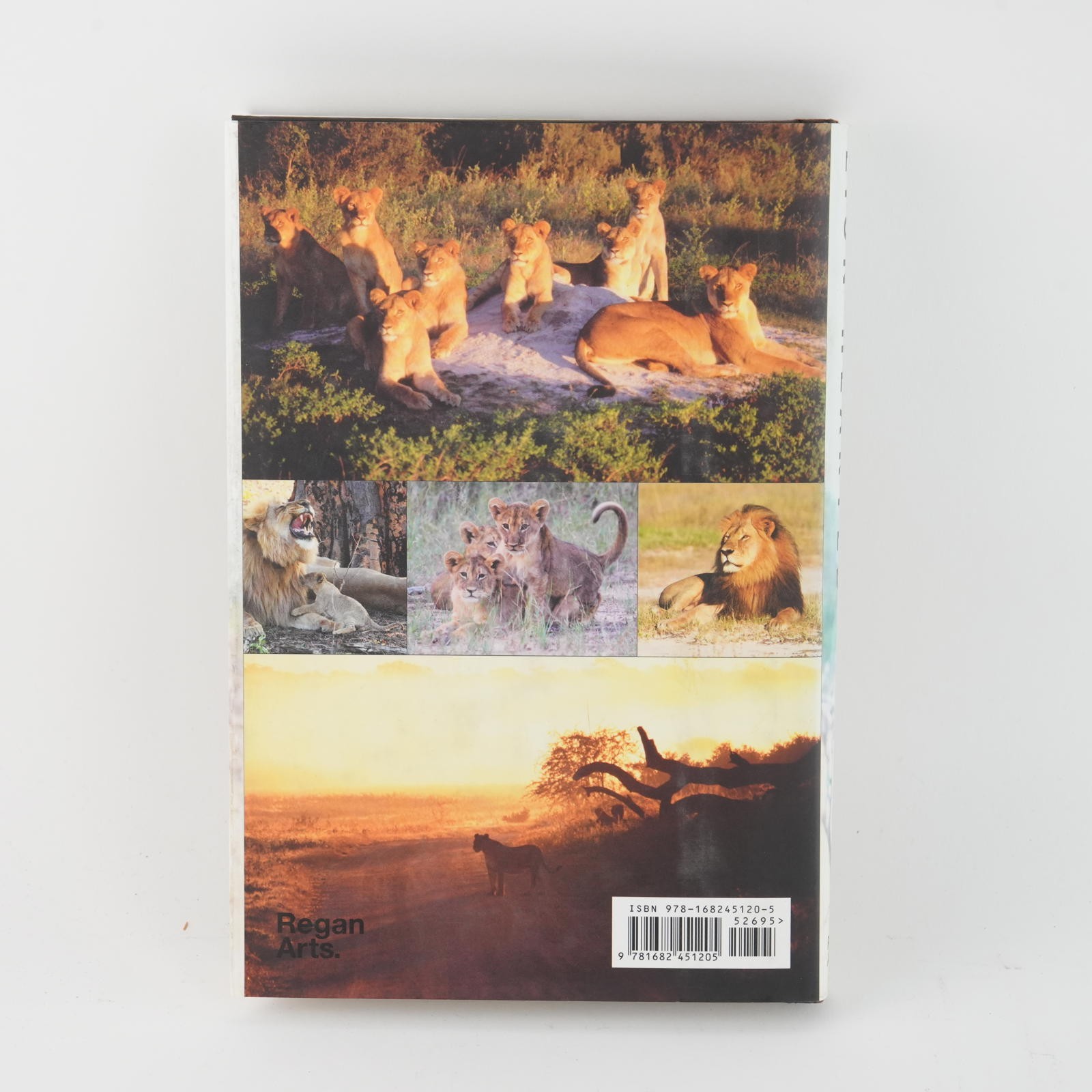 Lion Hearted: The Life and Death of Cecil & the Future of Africa’s Iconic Cats