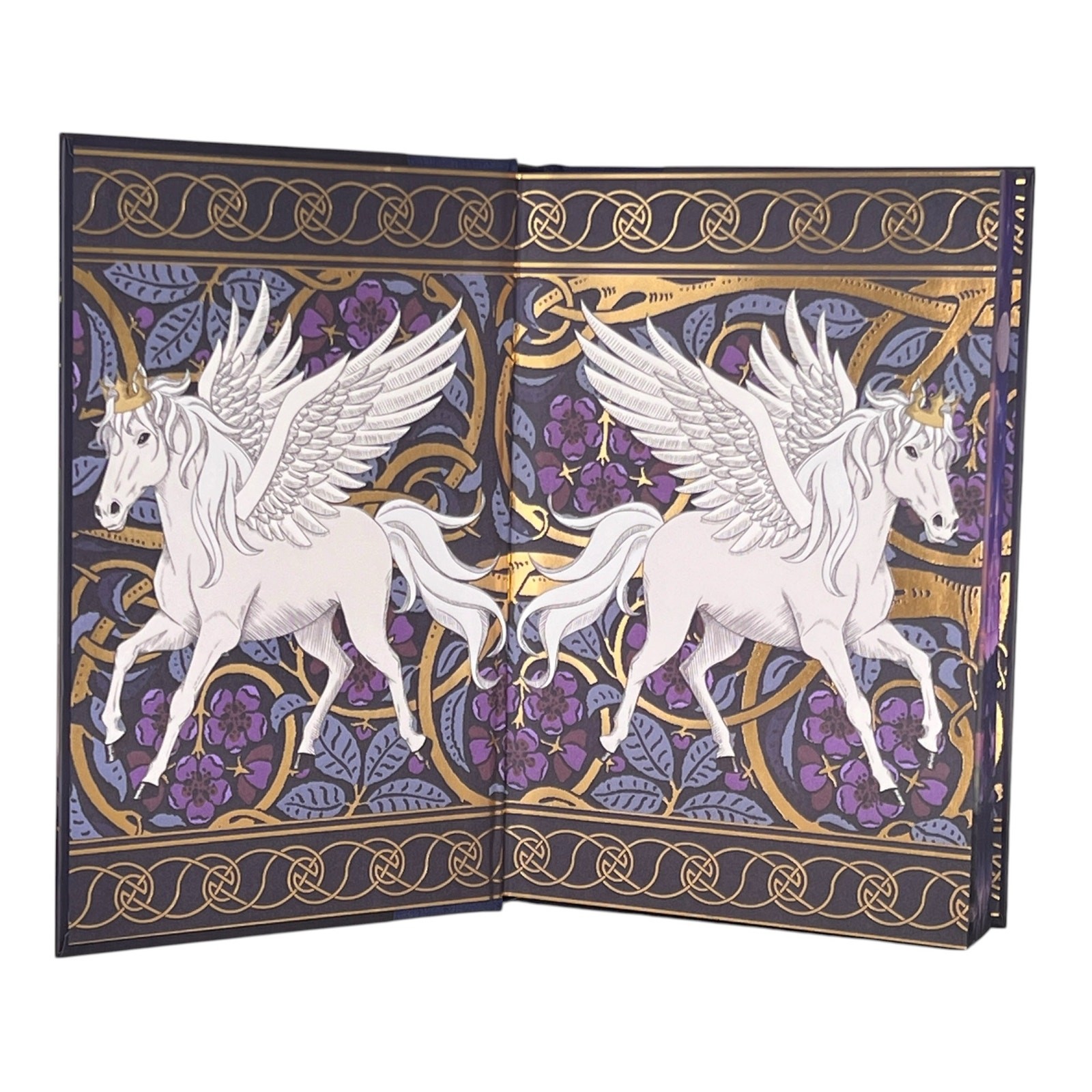 Bookish Box Behooved by M. Stevenson – May 2025 Exclusive Luxe Limited Edition