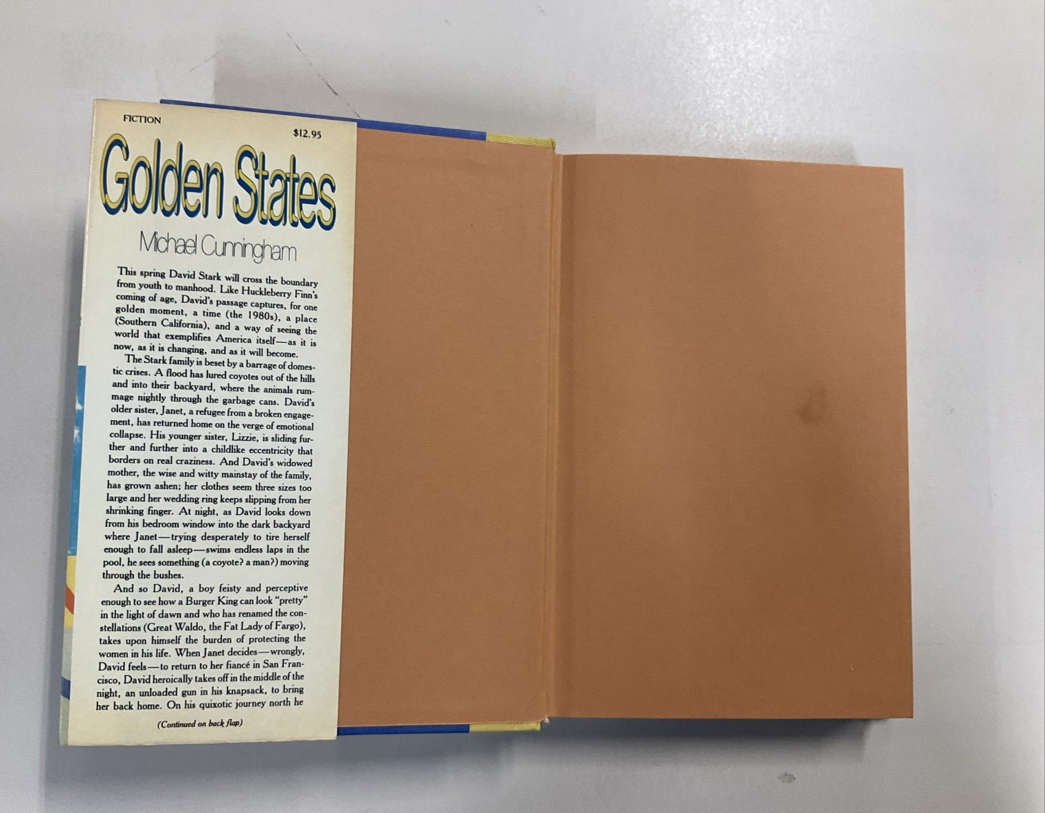 Golden States novel by Michael Cunningham 1st Edition 1984 HC DJ Crown Publisher
