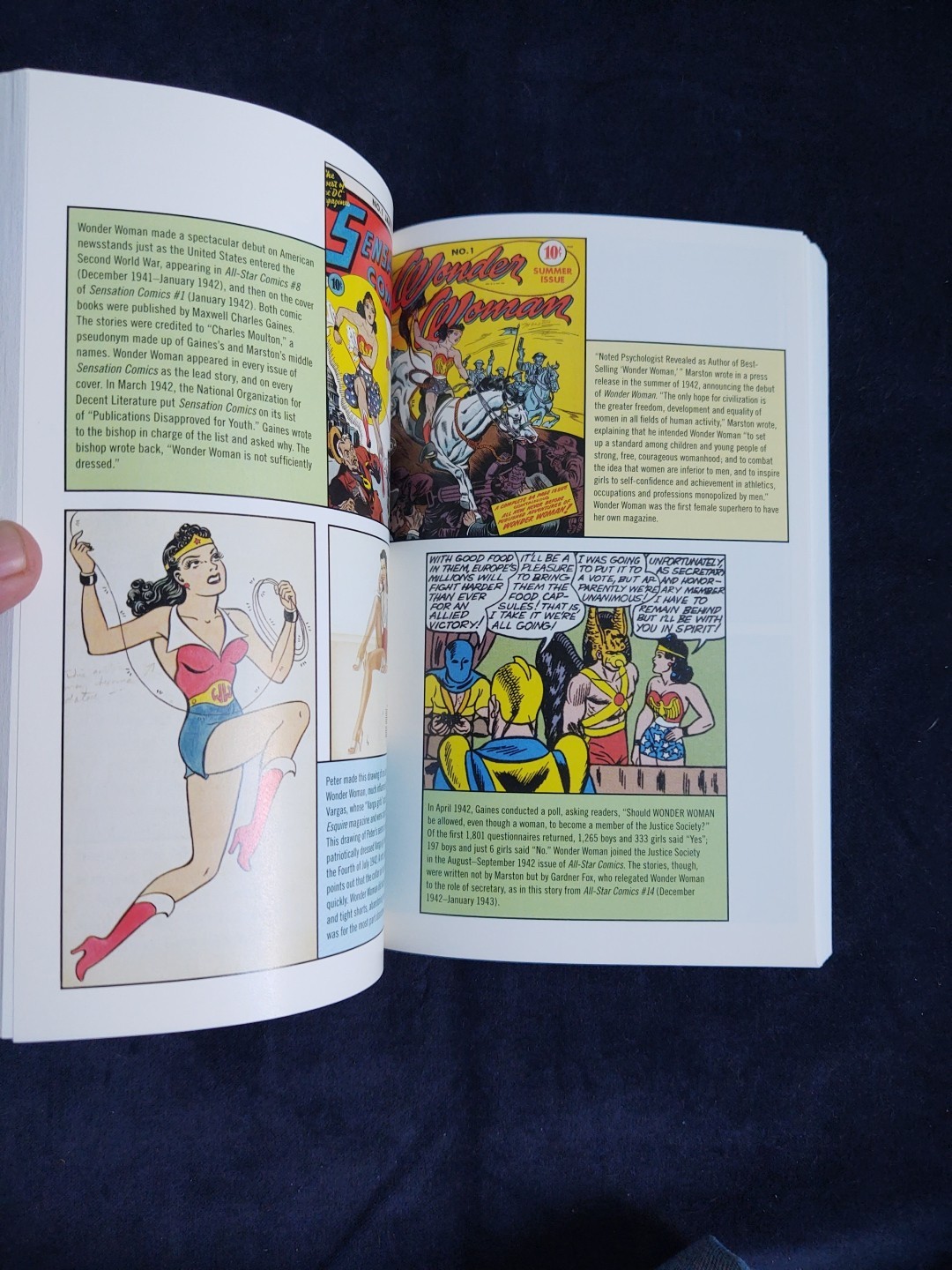 THE SECRET HISTORY OF WONDER WOMAN Softcover Book Jill Lepore Comics Feminism EX