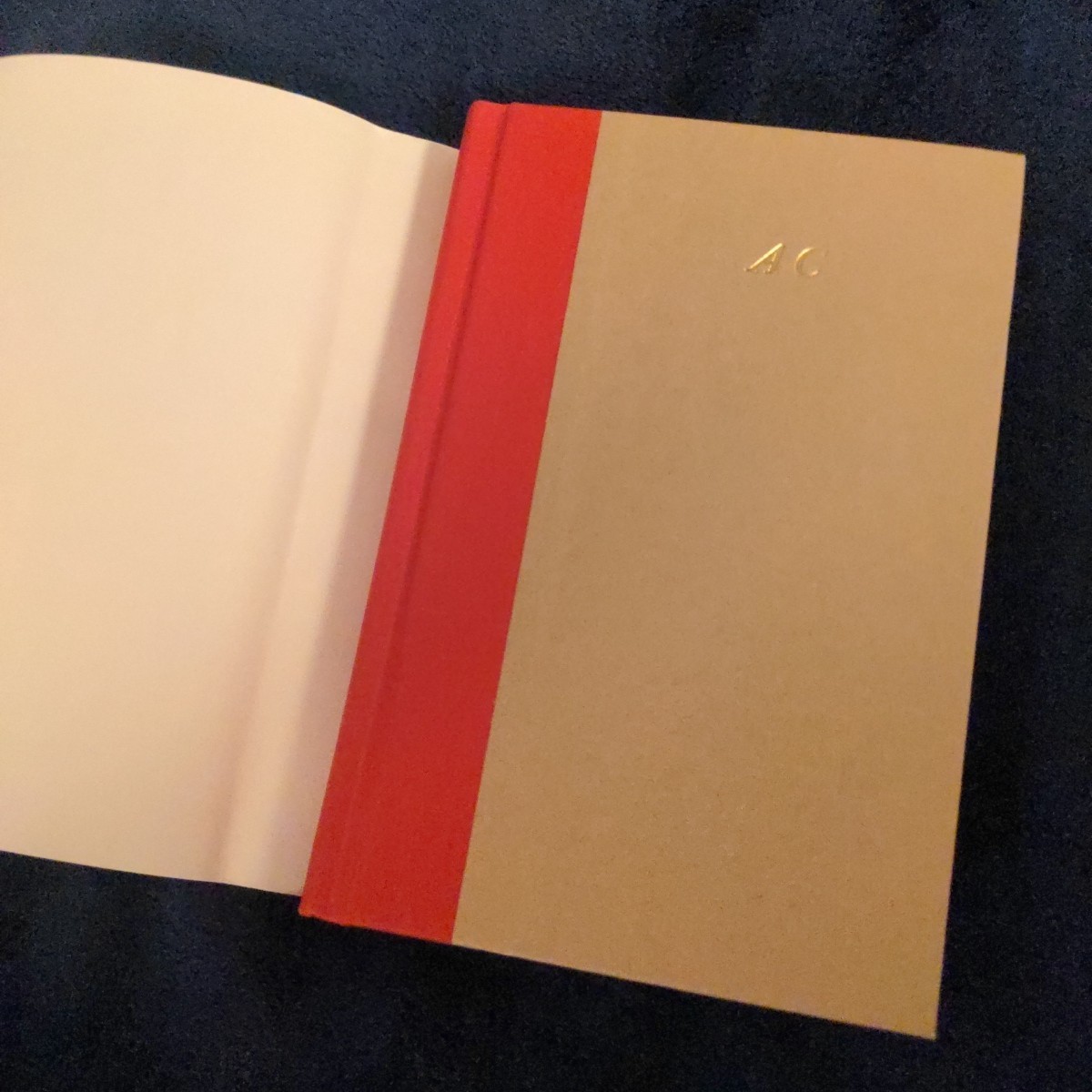 The First Man by Albert Camus – Hardcover Book – 2005 1st American Edition HCDJ