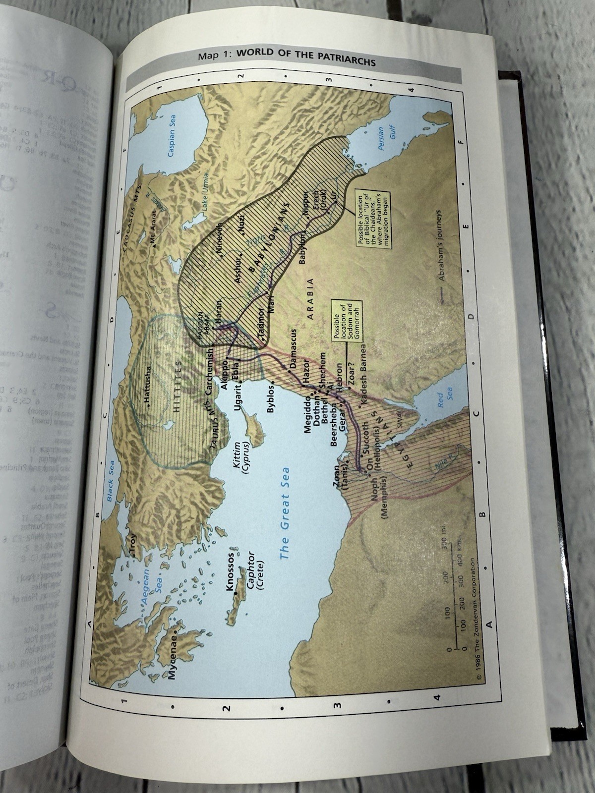 NIV Prophecy Marked Reference Study Bible, Grant Jeffrey, Zondervan, 1998 HC