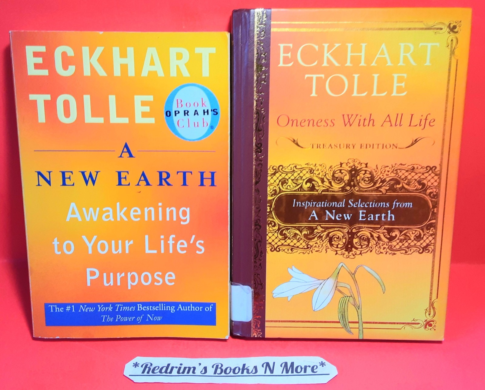 A New Earth Eckhart Tolle 2006 w/Selections Book Bundle Inspirational