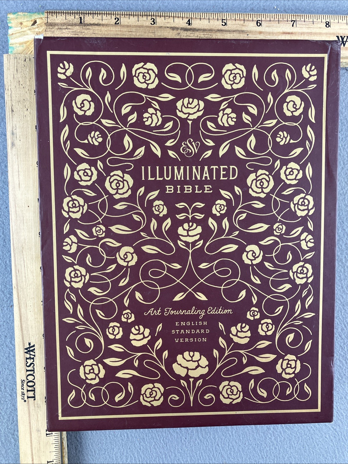 The Daily Grace Co Illuminated ESV Bible Art Journaling Softcover With Box
