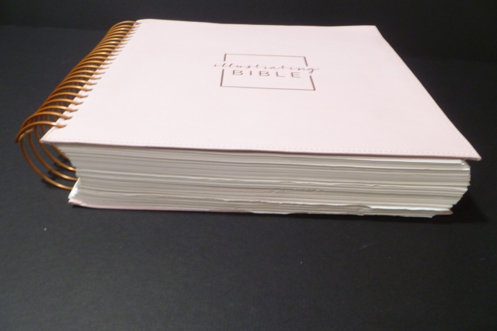 Illustrating Bible NIV Pink by Dayspring (2020, Spiral)
