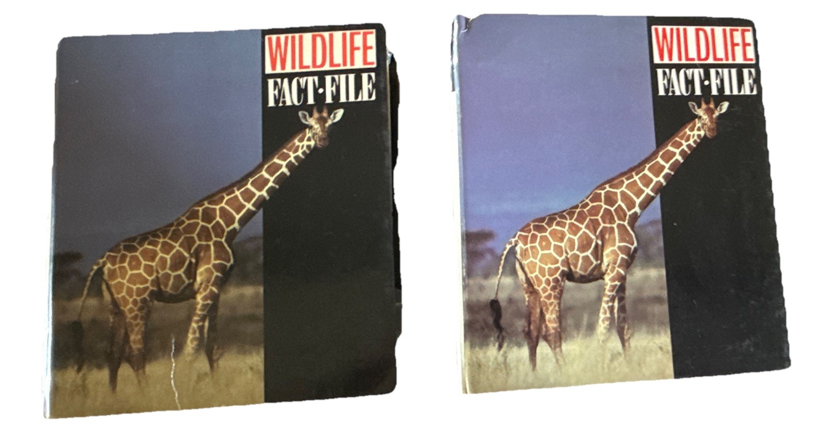 Wildlife Fact-File International Masters Publishers Illustrated Ring/Wire Bound