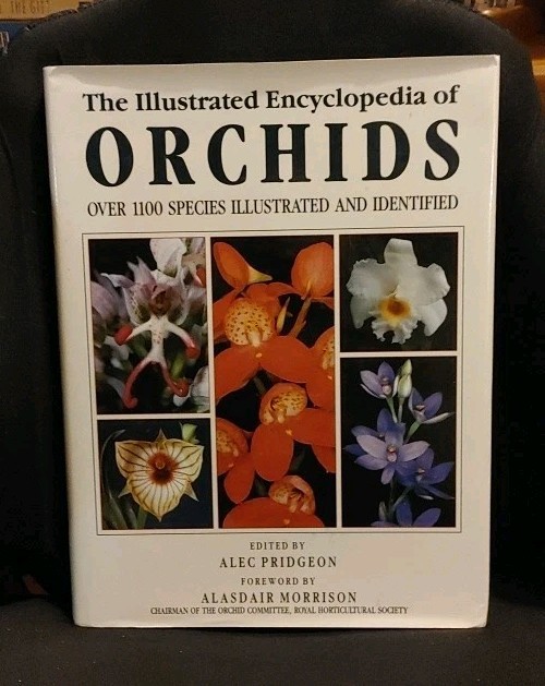 Illustrated Encyclopedia BOOK Orchids Hardcover Pridgeon Flowers CARE GROWING