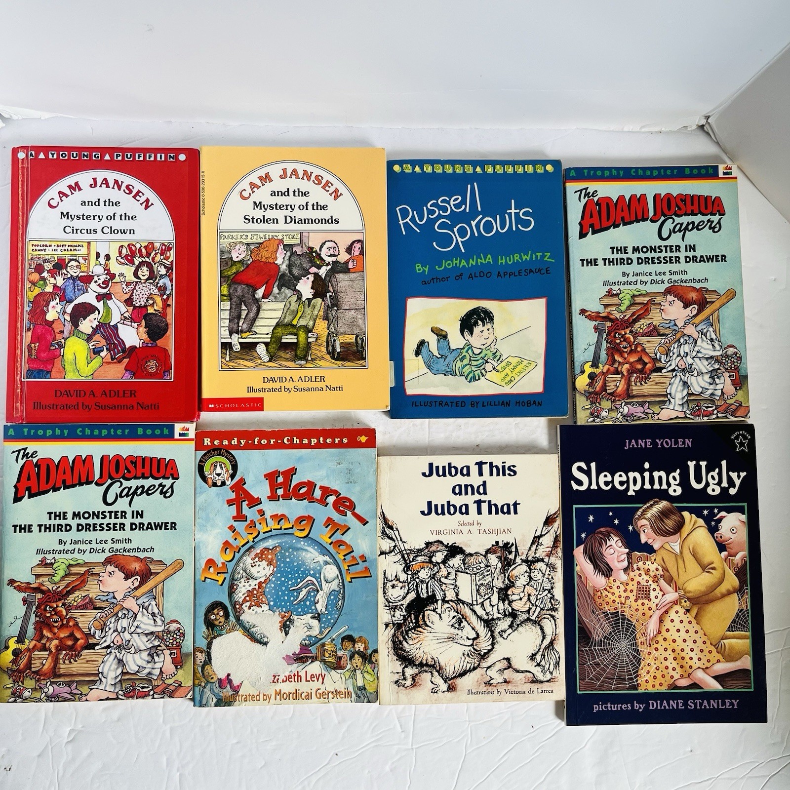 Lot of 10 Chapter Books Mixed Lot 2nd 3rd Grade Fiction Classroom Library Set