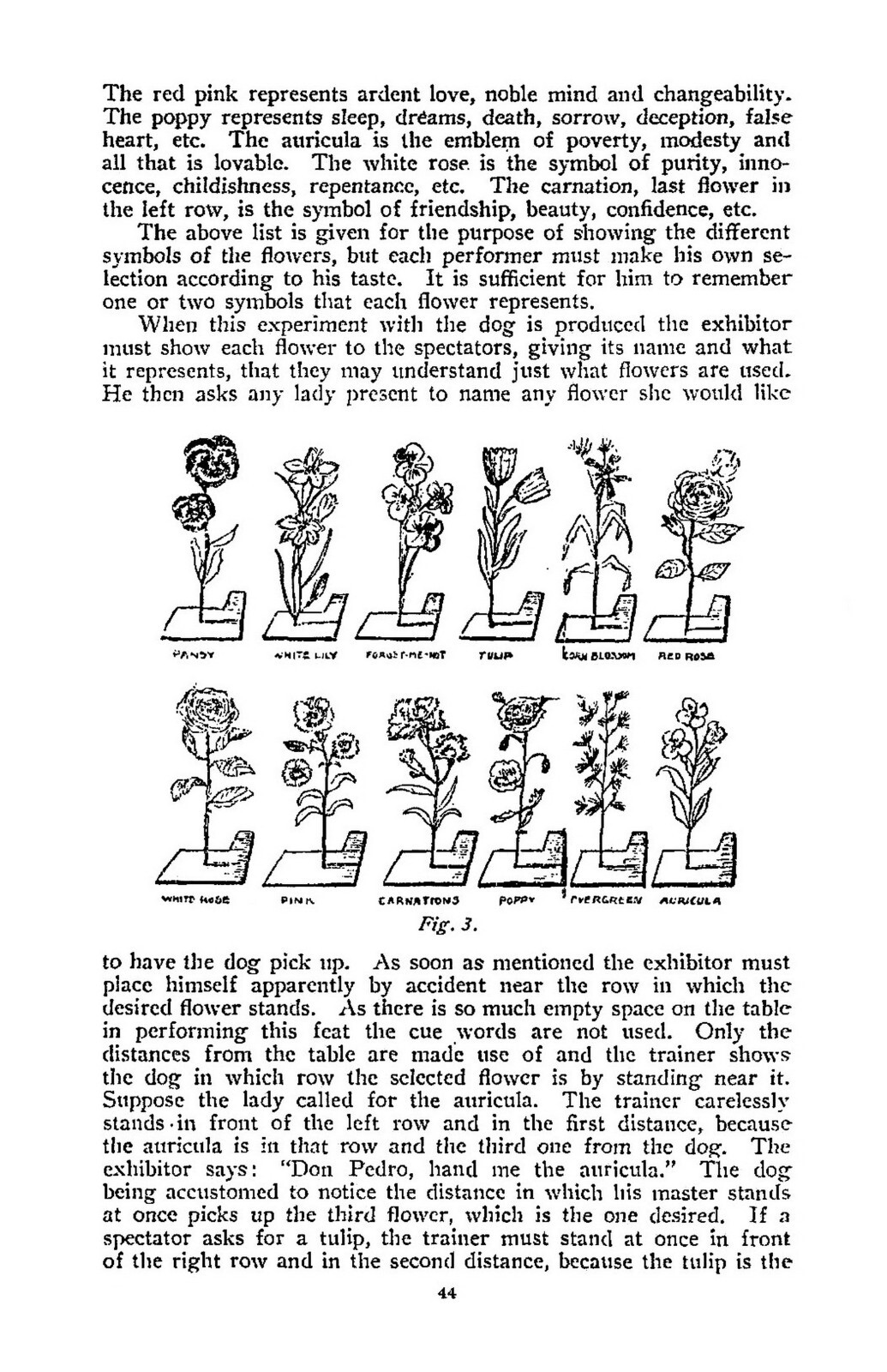 „1905“ How to Read People’s Minds 49 Pages