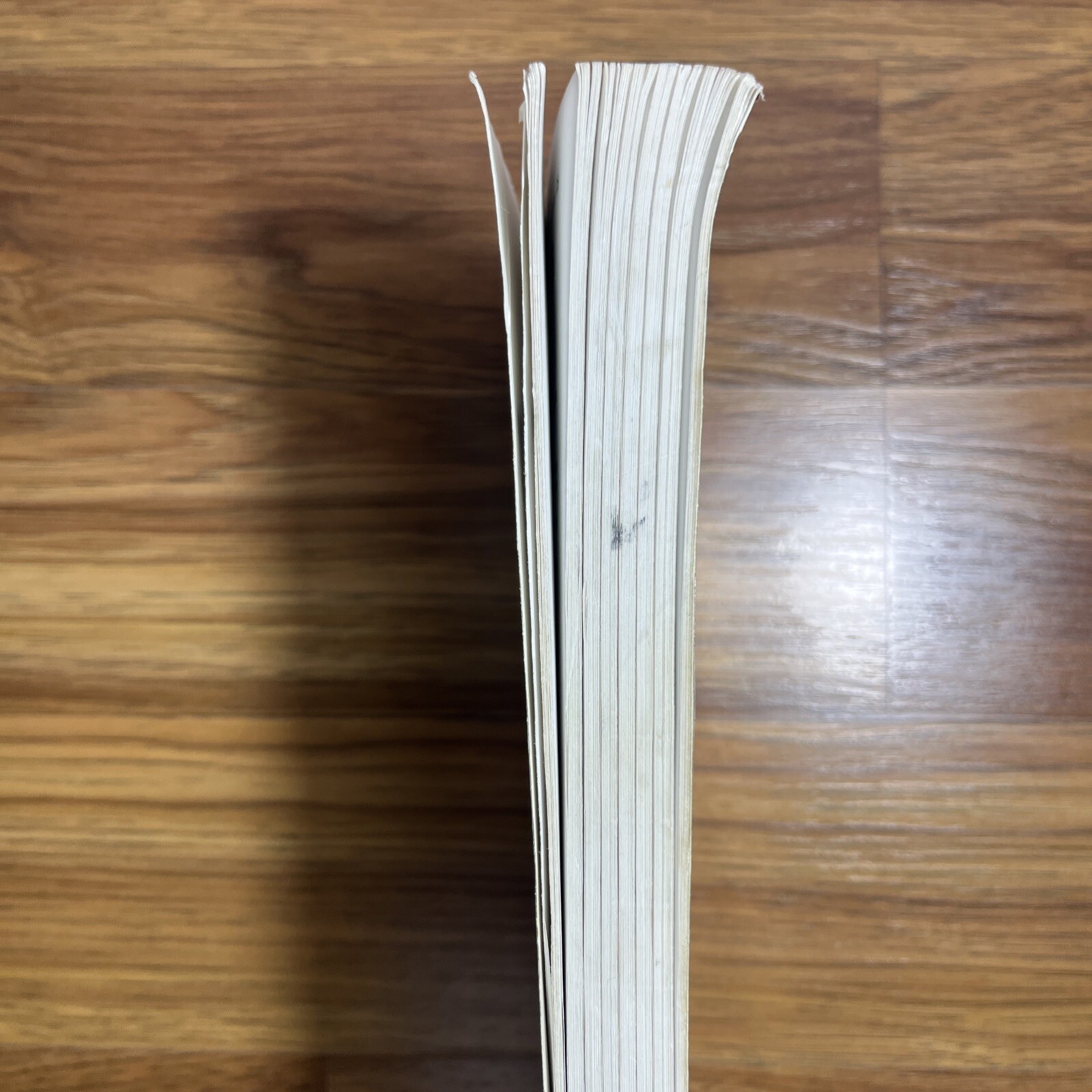 Standard Guide to Small Size U.S. Paper Money: 1928 To Date (1997) Ships Fast