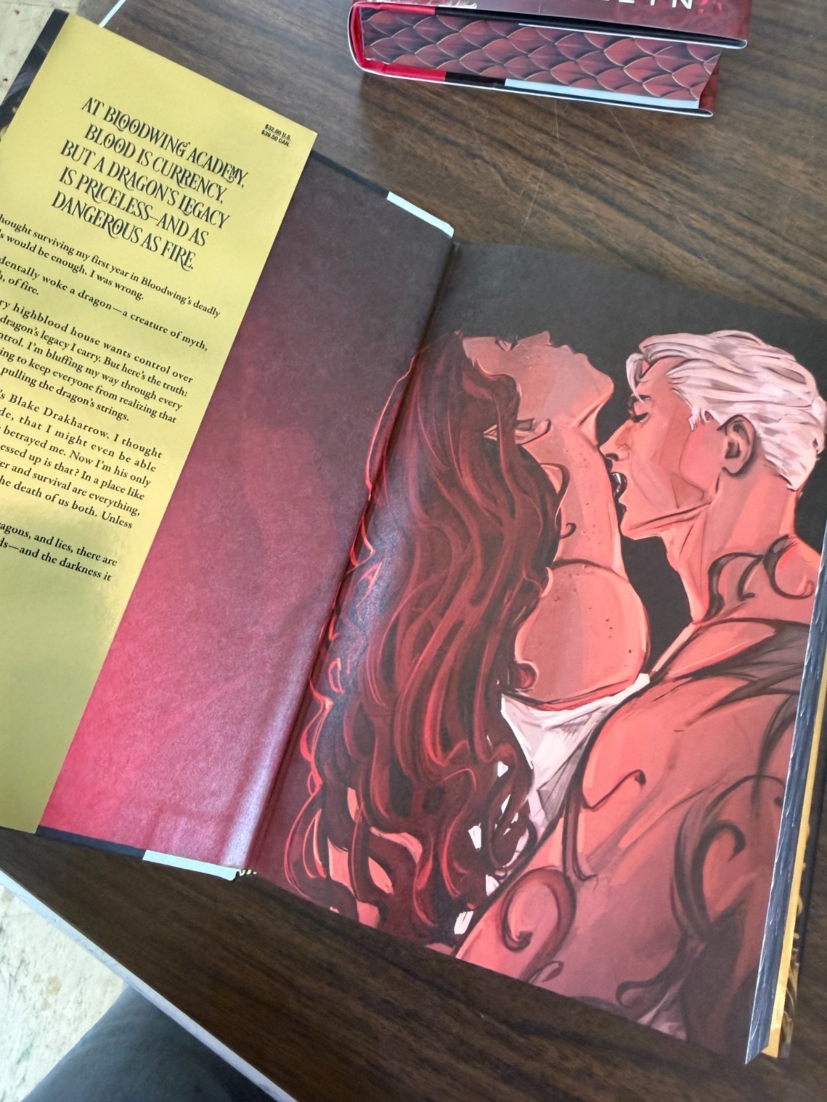 On Wings of Blood The Bond That Burns Bloodwing Academy 1 + 2 Briar Boleyn DJ HC